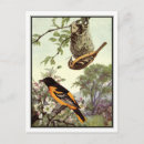 Buscar vintage baltimore postales Naturaleza