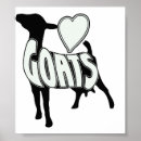 Buscar pigmeo posters Granja