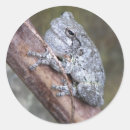 Buscar animal nocturno pegatinas Naturaleza