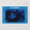 Buscar animales de mar postales General y unisex