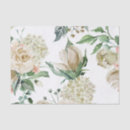 Buscar marfil papel de seda Elegante