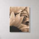Buscar sepia lienzos Flor
