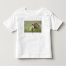 Buscar marmota camisetas Montaña