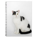Buscar gato blanco y negro cuadernos Gatos