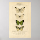Buscar inconformista posters Animal