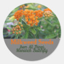 Buscar milkweed Monarca