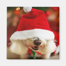 Buscar frise del bichon imanes Navidad