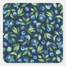 Buscar arándanos pegatinas Verano