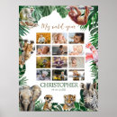 Buscar collage animal posters Para niños