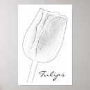 Buscar tulipanes blancos negros posters Flores