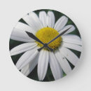 Buscar daisy relojes de pared Flor