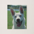 Buscar pastor alemán blanco puzzles Perro