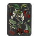 Buscar comida rectangulares imanes Frutas