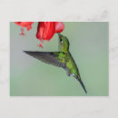 Buscar flores verdes postales Tropical