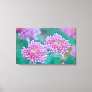 Buscar lila lienzos Lavanda