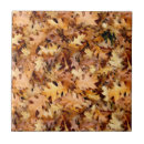 Buscar autumn azulejos 1 º caída