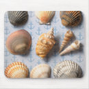 Buscar seashells electronica Náutico