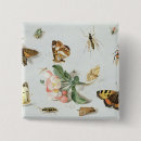 Buscar mariposas y polillas chapas Insecto