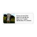 Buscar ranching Carne de vaca