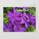 Buscar purple postales Pensar en ti