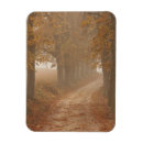 Buscar acceso imanes Bosque