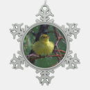 Buscar curruca Pájaros y floraciones