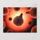 Buscar plasmodiume Microscópico
