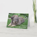 Buscar perro triste tarjetas Gris