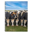 Buscar gorra de vaquero cuadernos 1 ᵉʳ explotación