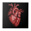 Buscar anatómico azulejos Corazón