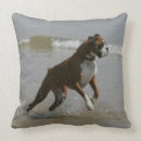 Buscar perros agua cojines Mar