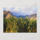 Buscar paisaje hawaiano postales Naturaleza
