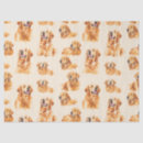 Buscar golden papel de seda Canino