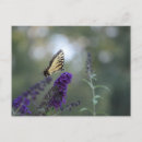 Buscar bokeh hermoso Morado