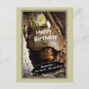 Buscar tortuga feliz postales Reptiles