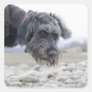 Buscar tristeza pegatinas Exterior