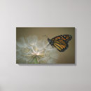 Buscar dientes de león lienzos Fotografía