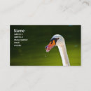 Buscar cisne tarjetas de visita Animal
