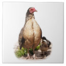 Buscar patio trasero azulejos Animal