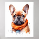 Buscar perro de agua posters Para niños