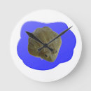 Buscar toro relojes de pared Ranas