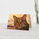 Buscar merchbooth tarjetas Gato