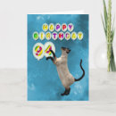 Buscar gatos siameses tarjetas 9 º gata