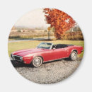 Buscar firebird casa hogar Rojo