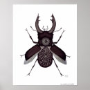 Buscar dibujos surrealistas posters Extracto