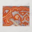 Buscar ciencias naturales postales Opinión del primer