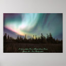 Buscar bosque boreal Luces