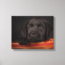 Buscar perro negro lienzos Animales domésticos