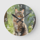 Buscar maine coon relojes de pared Felino