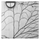 Buscar hiedra azulejos Blanco